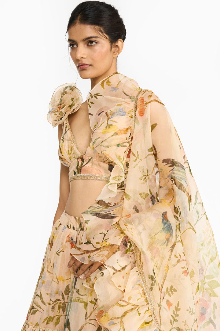 Peach Chinoiserie Lehenga