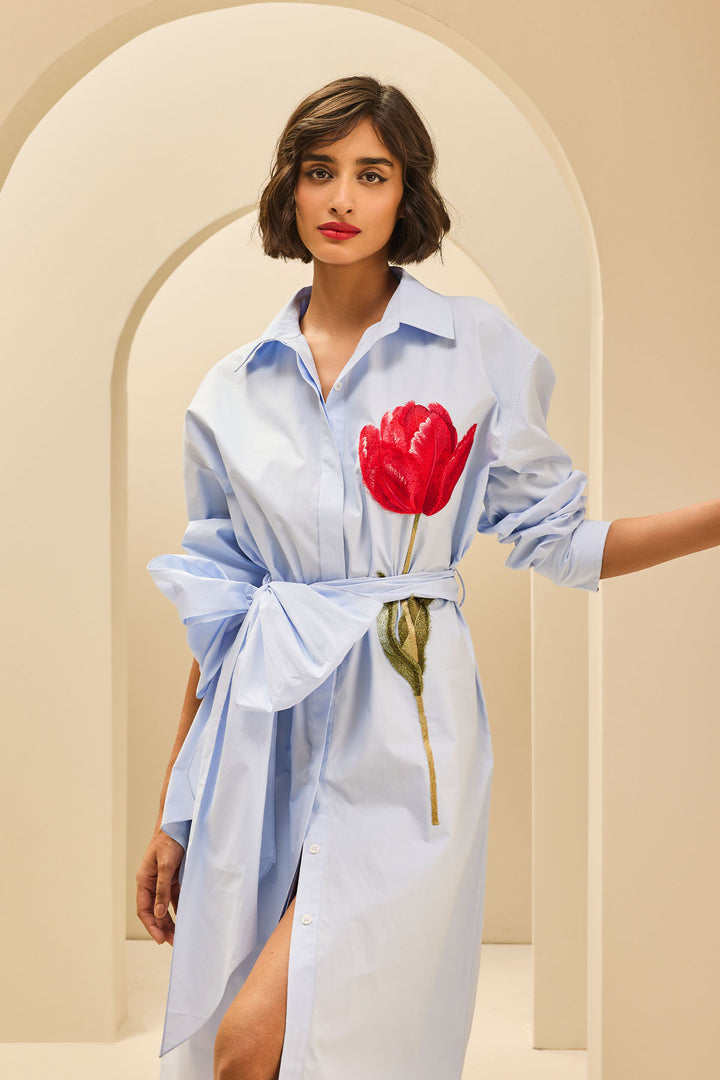 OVERSIZED TEA LENGTH SHIRT DRESS